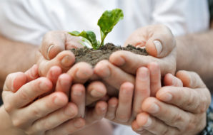 Should you add your children as company shareholders?
