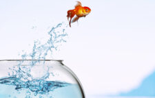 An investment market update November 2023